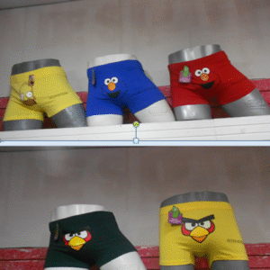 BOXER DIVERTIDO
