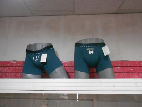 BOXER REYMON