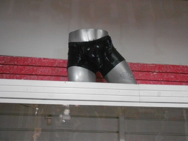 BOXER VINIL ELEFANTE