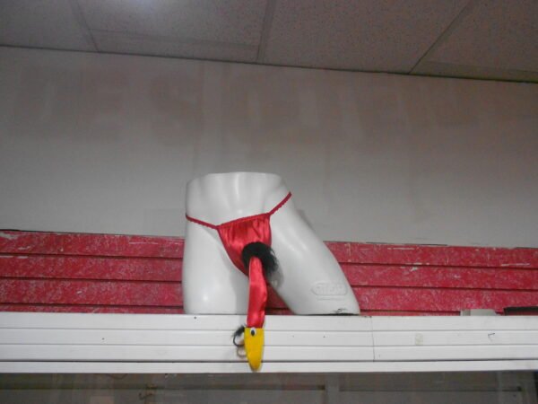 HILO PAJARO PICON